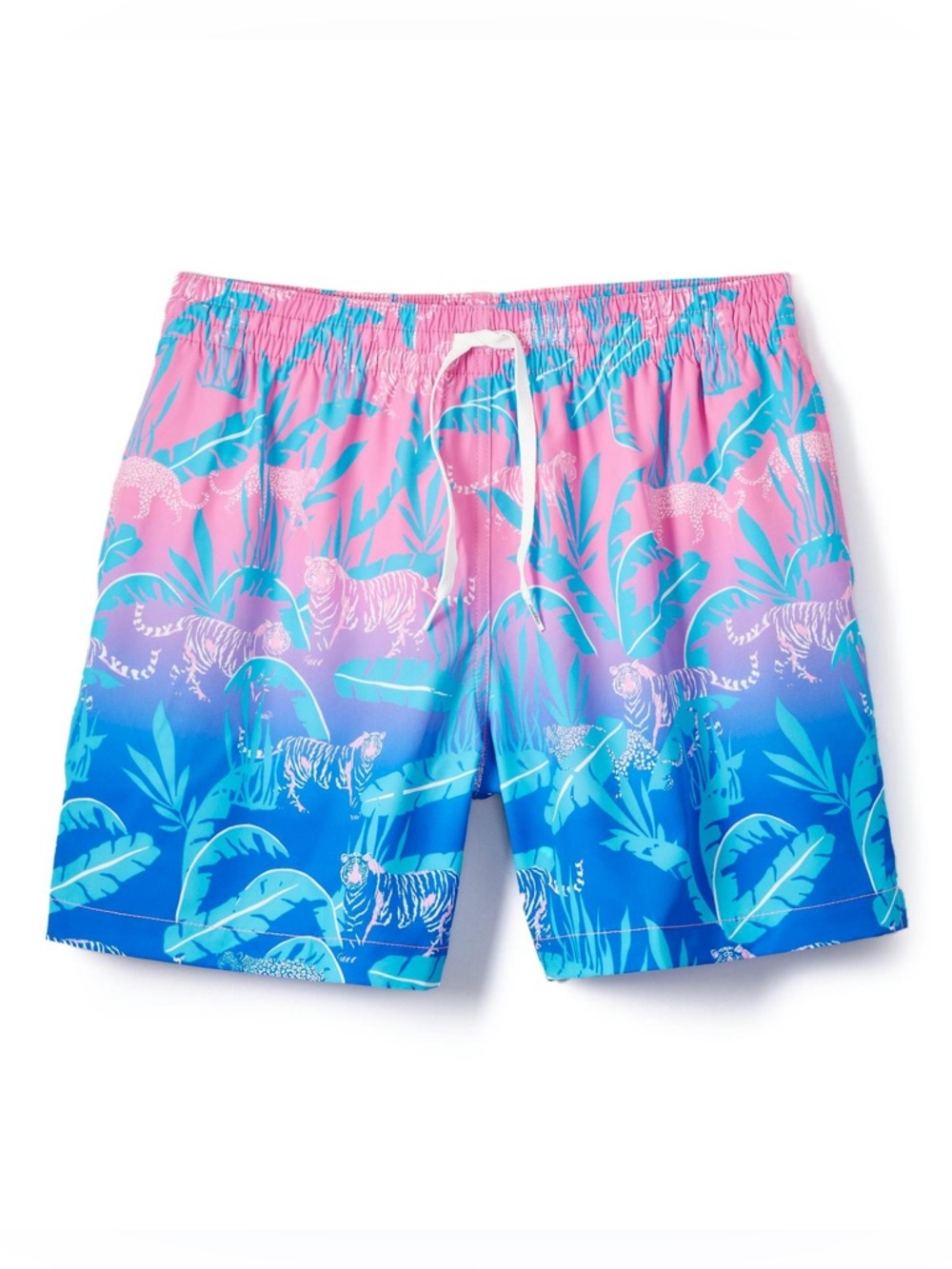 Chubbies Stretch Swim Short - 5.5"‎ Lined